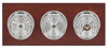 Maximum Montauk Three-Instrument Weather Station with mahogany panel, chrome case, silver dial