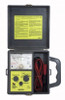 TPI SAIT25 Analog Insulation Resistance Tester, 400MΩ