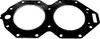 Sierra 18-3866 Head Gasket