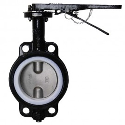 Dwyer WE20-EHD00-WP Manual Wafer Style Butterfly Valve (5") with PTFE Liner