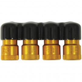 Lang Tools 401 TPMS Deflators