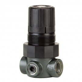 Dwyer MPR2-0 Pressure Regulator, 0-5 Psi, Air & Water