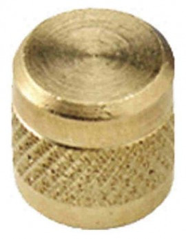CPS AVC410 Brass Caps, 5/16in (1/2in-20 UNF), R-410A, 10-Pack