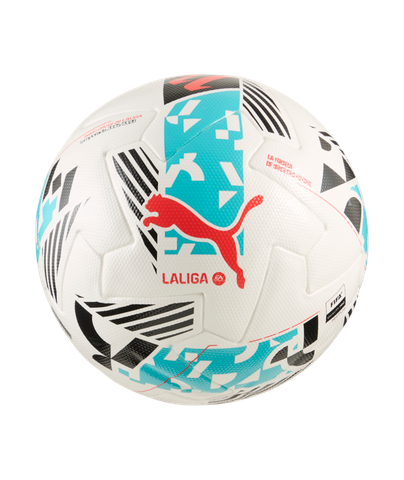 PUMA LIGUE 1 公式試合球 サッカーボール 950__27182.1755100728.480.480.