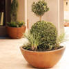 Slick Rock Wave Concrete Planter: Shown in the small size in the adobe finish.