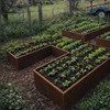 Planted vegetable raised key hole planter box Yard Couture