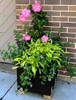 Custom Stilt Planter Box: As shown in the aluminum powder coated bronze finish with the cedar legs.