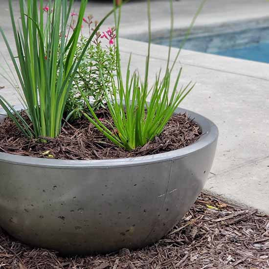 Classic Concrete Bowl Planter GRFC