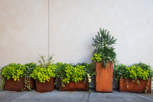  Black Friday Planter Deals: Buying Guide | Yard Couture