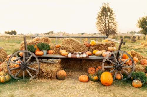  Outdoor Halloween Decor That Lasts | Yard Couture