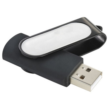Domeable Rotate Flash Drive (2GB)