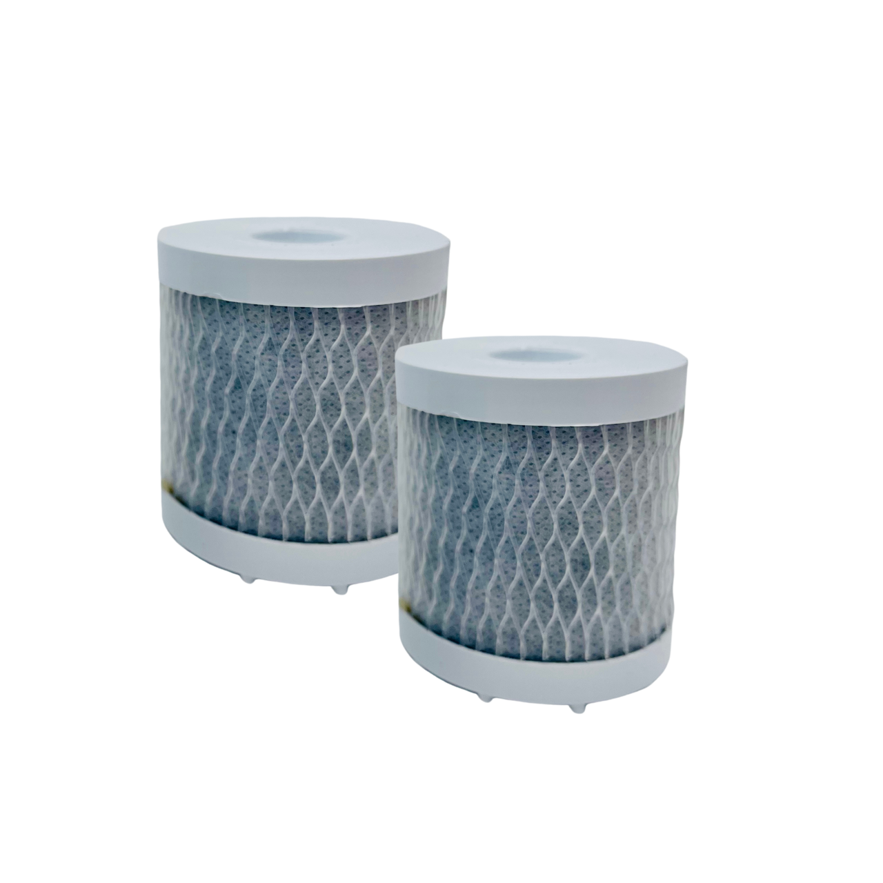 Shower Head Replacement Filter (2 Pack)