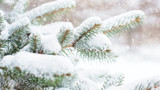 Top Tips for Winterizing Your Outdoor Water Fixtures