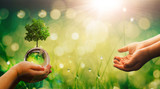 3 Different Ways to Involve your Kids in Earth Day