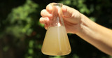 The Dangers of Contaminated Water in RVs