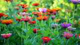 Water-Saving Landscaping Tips
