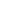 compact icon