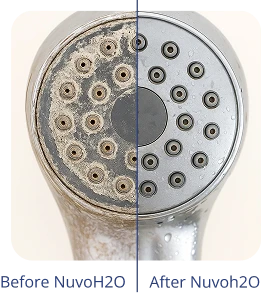 shower head before and after using NuvoH2O system