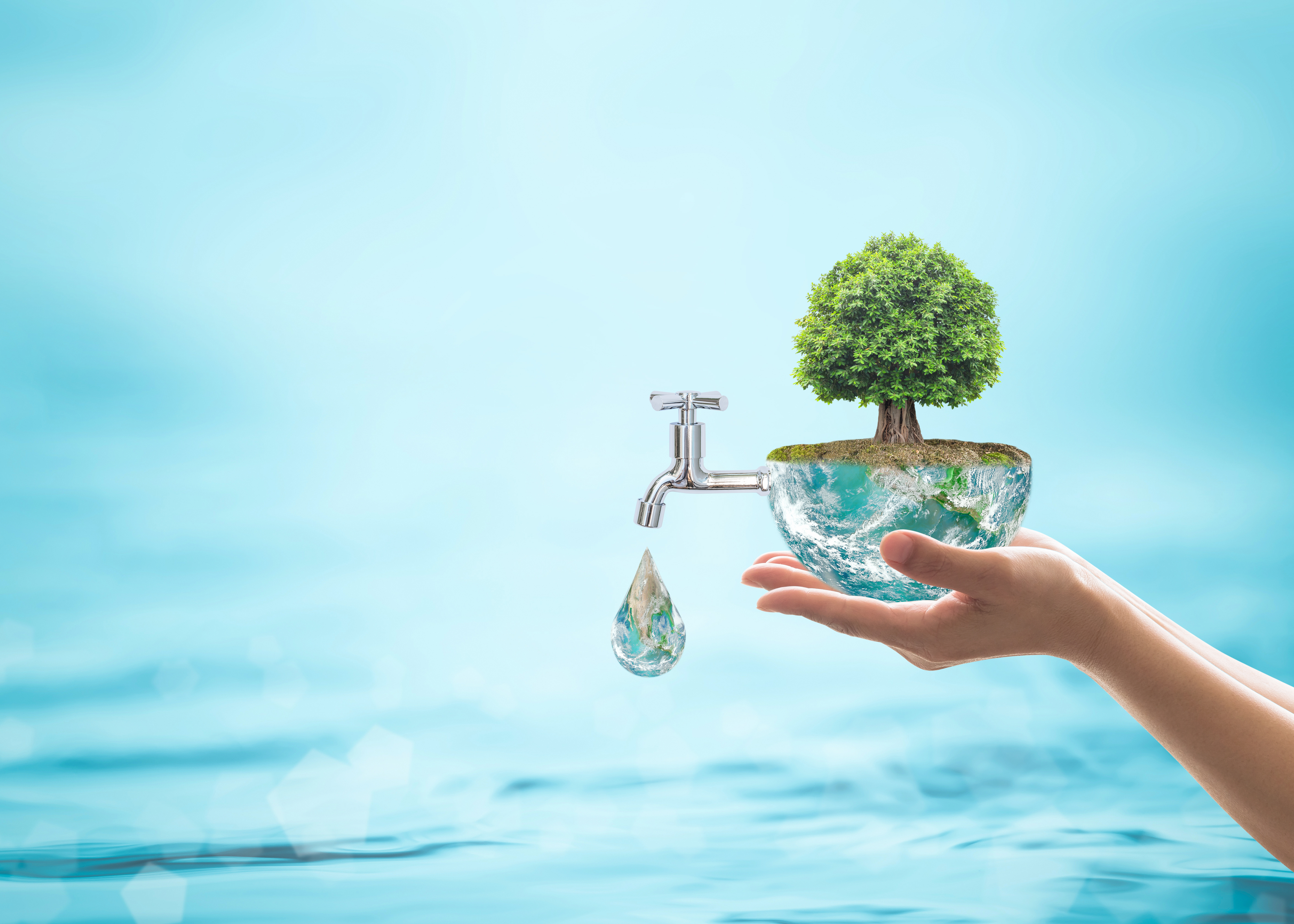 Blue Zones and the Elixir of Youth