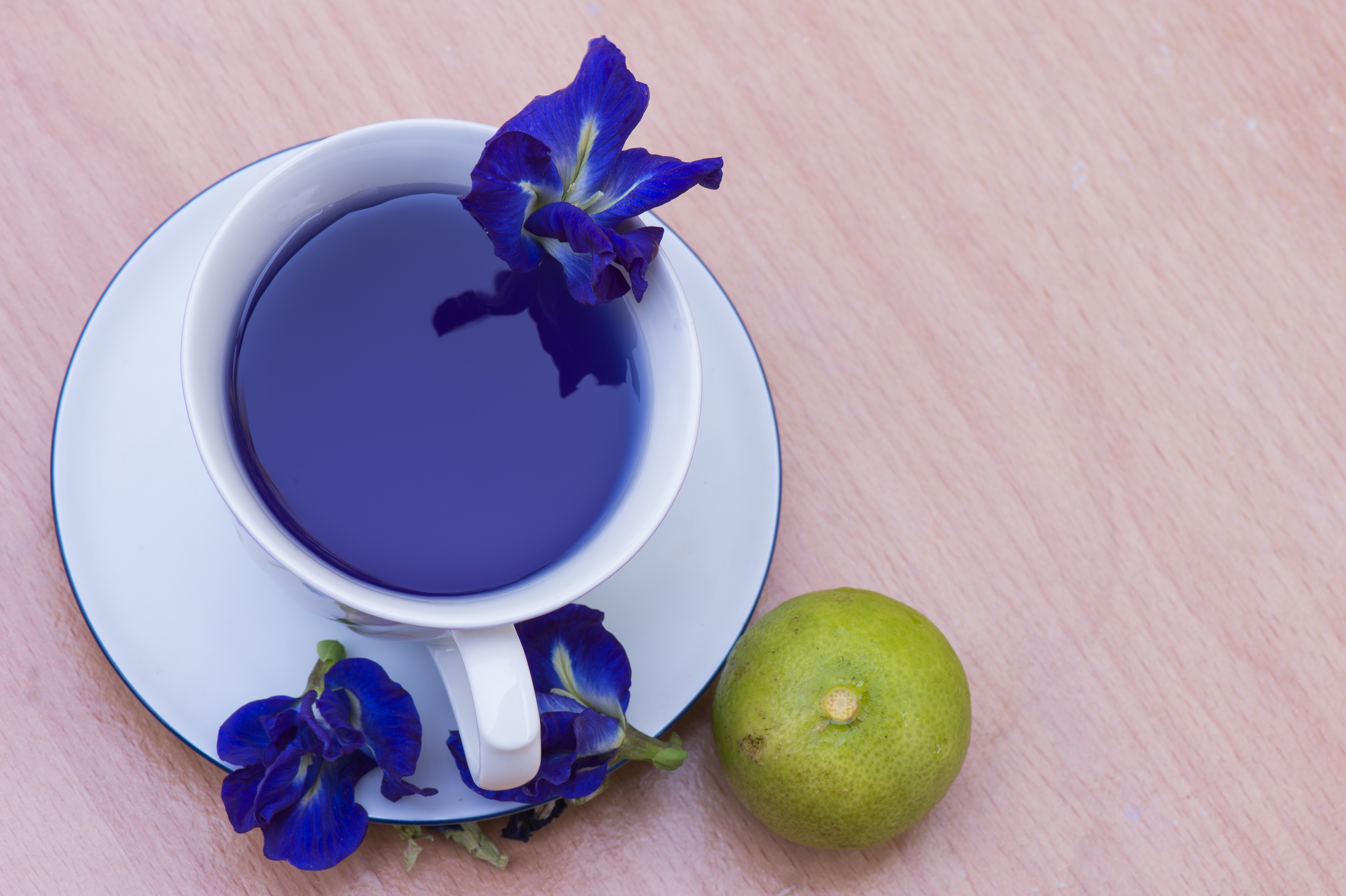 A Perfect Tea All Year Round - Blue Butterfly Pea Flower Tea!