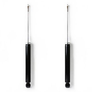 2000 BMW 323i Rear Pair Shock Absorber