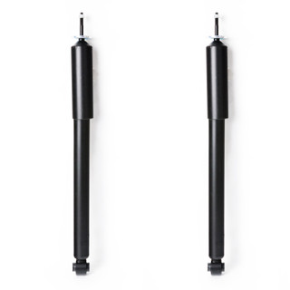 2010 Dodge Charger Rear Pair Shock Absorber
