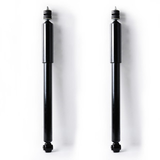 2009 Dodge Challenger Rear Pair Shock Absorber