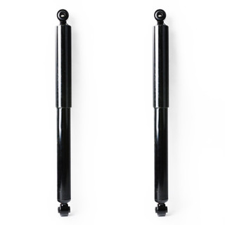 2005 Dodge Ram 1500 Rear Pair Shock Absorber