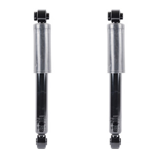 2012 Hyundai Santa FE Rear Pair Shock Absorber