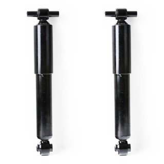 2015 Chevrolet Traverse Rear Pair Shock Absorber