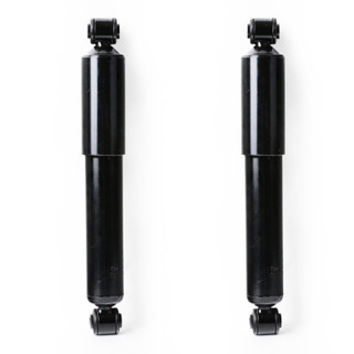 2012 Chrysler Town & Country Rear Pair Shock Absorber