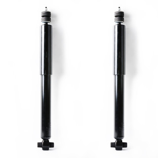 2011 Mercury Grand Marquis Rear Pair Shock Absorber