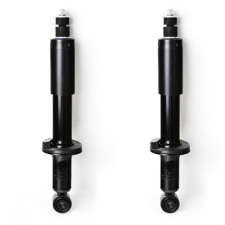 2002 Toyota 4Runner Front Pair Shock Absorber