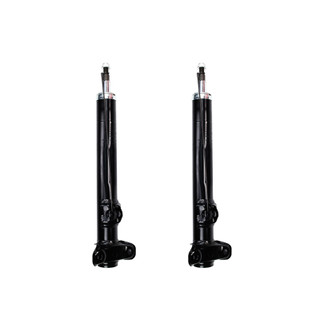1995 Mercedes Benz E320 Front Pair Shock Absorber