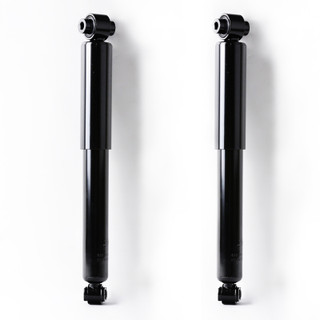 2009 Chrysler PT Cruiser Rear Pair Shock Absorber