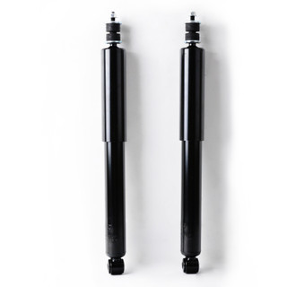 1999 Pontiac Firebird Rear Pair Shock Absorber