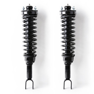 1998 Honda Civic Rear Pair Complete Struts Spring Assembly