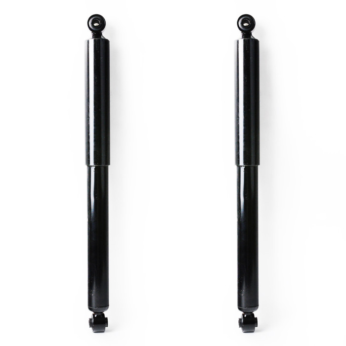 2003 Dodge Ram 1500 Rear Pair Shock Absorber