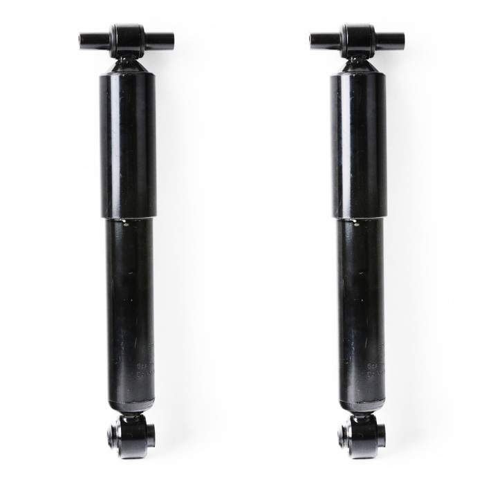 2012 Buick Enclave Rear Pair Shock Absorber
