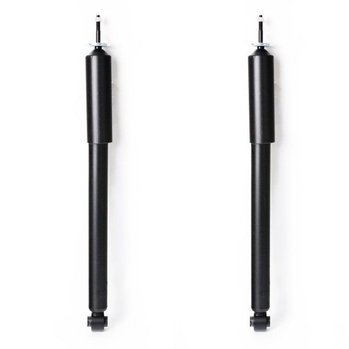 2019 Chrysler 300 Rear Pair Shock Absorber