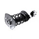 2008 Pontiac Grand Prix Rear Pair Complete Struts Spring Assembly