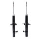 2000 Acura RL Front Pair Shock Absorber