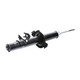 2000 Acura RL Front Pair Shock Absorber