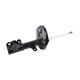 2001 Toyota Avalon Front Pair Shock Absorber
