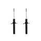 2001 Acura TL Front Pair Shock Absorber