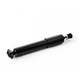 2002 Chevrolet C1500 Front Pair Shock Absorber
