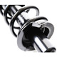 2002 Honda Civic Rear Pair Complete Struts Spring Assembly