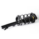 2005 Ford Focus Front Pair Complete Struts Spring Assembly
