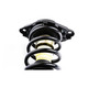 2000 Nissan Sentra Rear Pair Complete Struts Spring Assembly