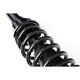1992 Honda Civic Rear Pair Complete Struts Spring Assembly
